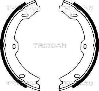 Triscan 8100 23031 - Kit ganasce, Freno stazionamento autozon.pro