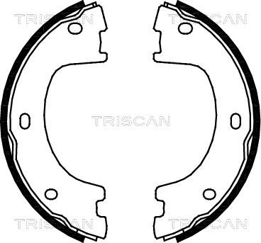 Triscan 8100 23032 - Kit ganasce freno autozon.pro