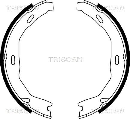 Triscan 8100 23029 - Kit ganasce, Freno stazionamento autozon.pro