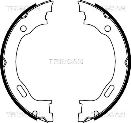 Triscan 8100 23028 - Kit ganasce, Freno stazionamento autozon.pro