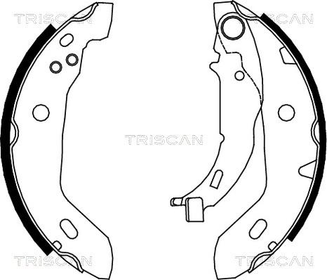 Triscan 8100 23122 - Kit ganasce freno autozon.pro