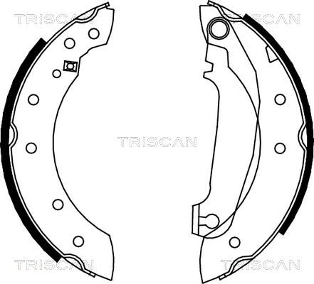 Triscan 8100 27516 - Kit ganasce freno autozon.pro