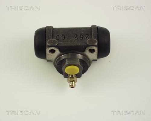 Triscan 8130 15019 - Cilindretto freno autozon.pro