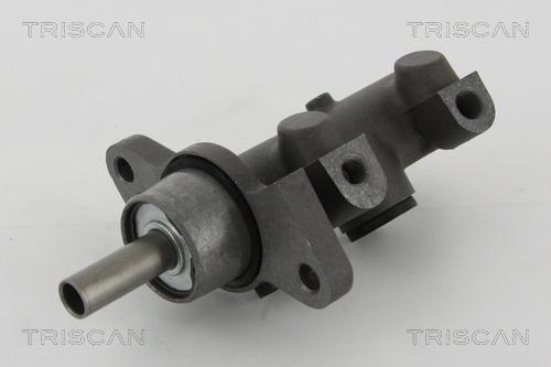 Triscan 8130 25154 - Cilindro maestro del freno autozon.pro