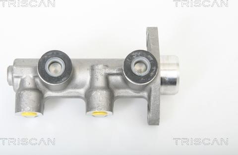 Triscan 8130 21102 - Cilindro maestro del freno autozon.pro