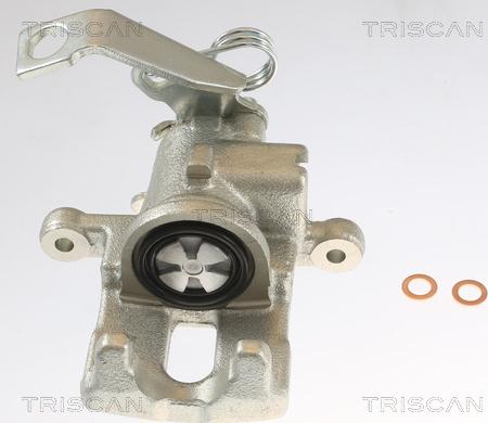 Triscan 8175 40209 - Pinza freno autozon.pro