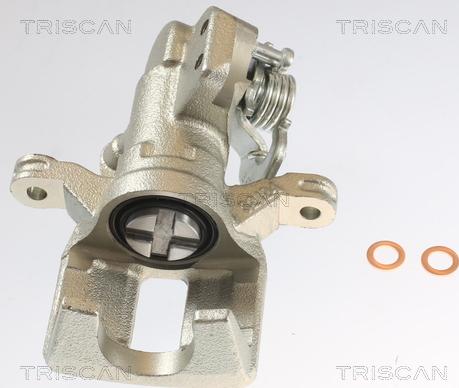 Triscan 8175 40208 - Pinza freno autozon.pro