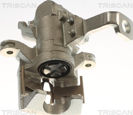 Triscan 8175 40213 - Pinza freno autozon.pro