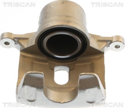 Triscan 8175 43132 - Pinza freno autozon.pro