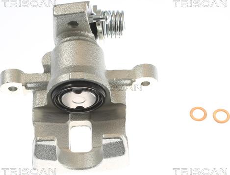 Triscan 8175 43202 - Pinza freno autozon.pro