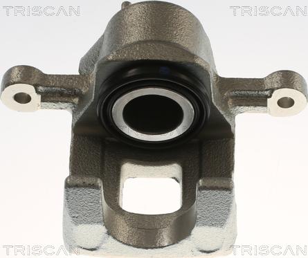 Triscan 8175 43229 - Pinza freno autozon.pro