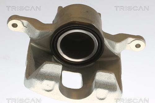 Triscan 8175 42104 - Pinza freno autozon.pro