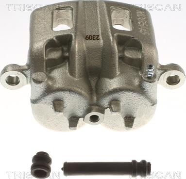 Triscan 8175 42110 - Pinza freno autozon.pro