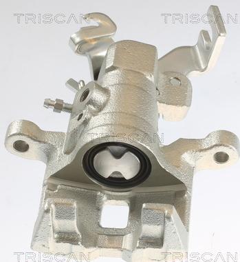 Triscan 8175 50201 - Pinza freno autozon.pro