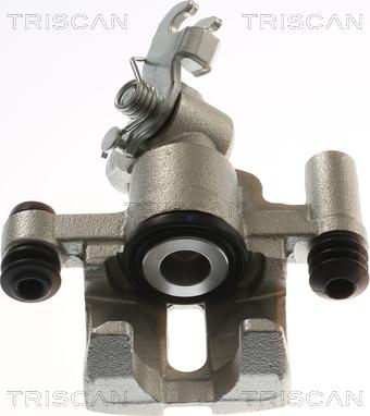 Triscan 8175 50210 - Pinza freno autozon.pro