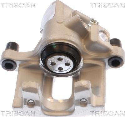 Triscan 8175 50211 - Pinza freno autozon.pro