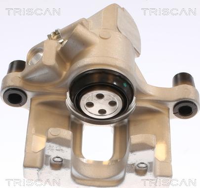 Triscan 8175 50212 - Pinza freno autozon.pro