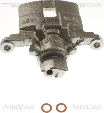 Triscan 8175 68209 - Pinza freno autozon.pro