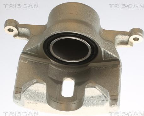 Triscan 8175 14101 - Pinza freno autozon.pro