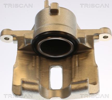 Triscan 8175 14110 - Pinza freno autozon.pro