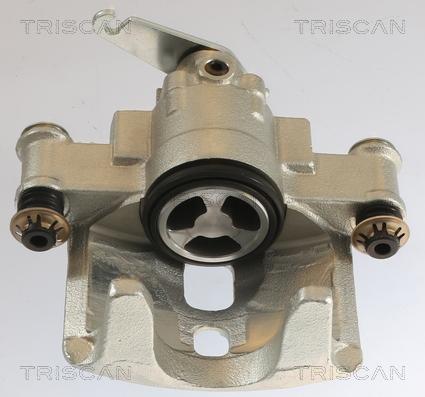 Triscan 8175 15206 - Pinza freno autozon.pro