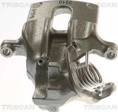 Triscan 8175 15210 - Pinza freno autozon.pro