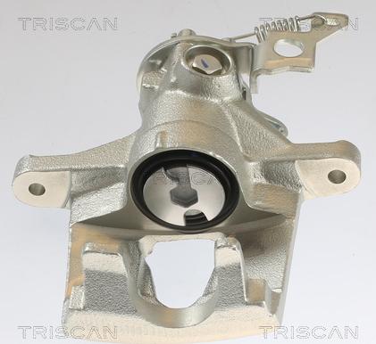 Triscan 8175 16101 - Pinza freno autozon.pro