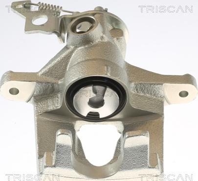 Triscan 8175 16102 - Pinza freno autozon.pro