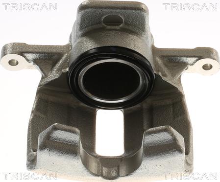 Triscan 8175 16124 - Pinza freno autozon.pro