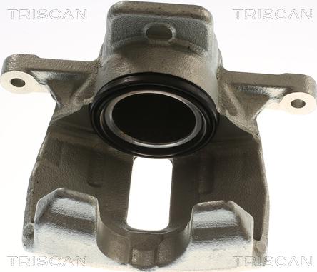 Triscan 8175 16123 - Pinza freno autozon.pro