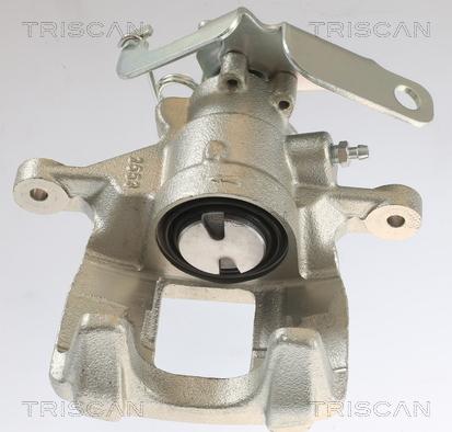 Triscan 8175 16205 - Pinza freno autozon.pro