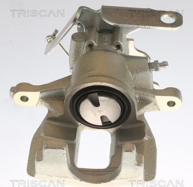 Triscan 8175 16201 - Pinza freno autozon.pro