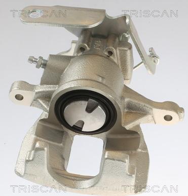 Triscan 8175 16202 - Pinza freno autozon.pro