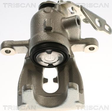 Triscan 8175 16216 - Pinza freno autozon.pro