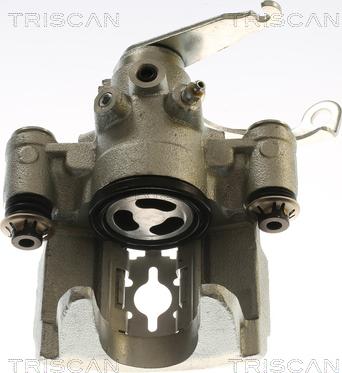 Triscan 8175 16220 - Pinza freno autozon.pro