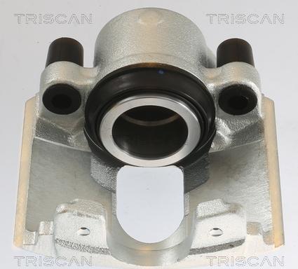 Triscan 8175 10106 - Pinza freno autozon.pro