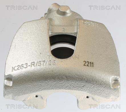 Triscan 8175 10108 - Pinza freno autozon.pro