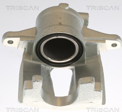 Triscan 8175 10110 - Pinza freno autozon.pro