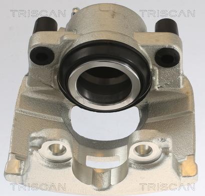 Triscan 8175 10111 - Pinza freno autozon.pro