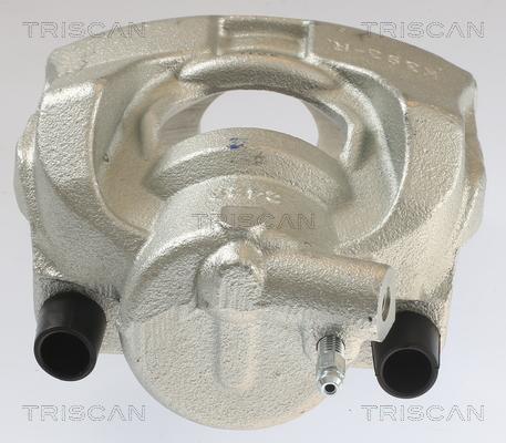 Triscan 8175 10112 - Pinza freno autozon.pro