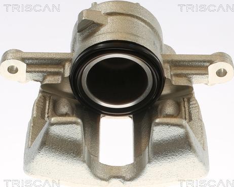 Triscan 8175 10134 - Pinza freno autozon.pro