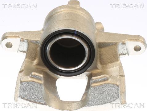 Triscan 8175 10130 - Pinza freno autozon.pro