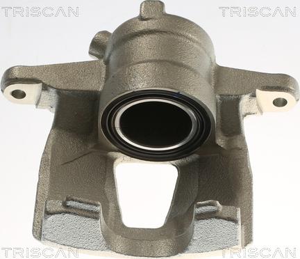 Triscan 8175 10129 - Pinza freno autozon.pro