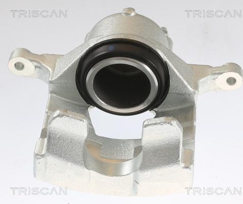 Triscan 8175 10124 - Pinza freno autozon.pro