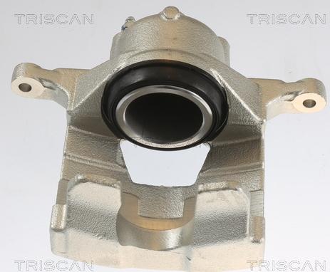 Triscan 8175 10123 - Pinza freno autozon.pro