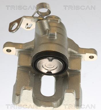 Triscan 8175 10209 - Pinza freno autozon.pro