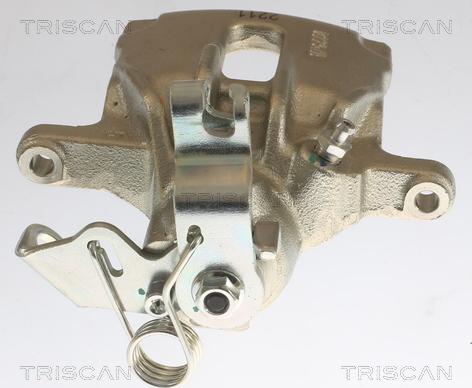 Triscan 8175 10209 - Pinza freno autozon.pro