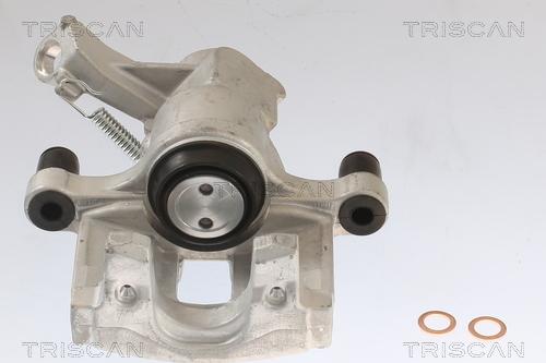 Triscan 8175 10206 - Pinza freno autozon.pro