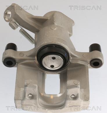 Triscan 8175 10208 - Pinza freno autozon.pro