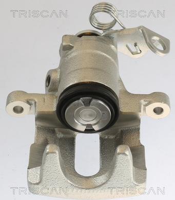 Triscan 8175 10202 - Pinza freno autozon.pro